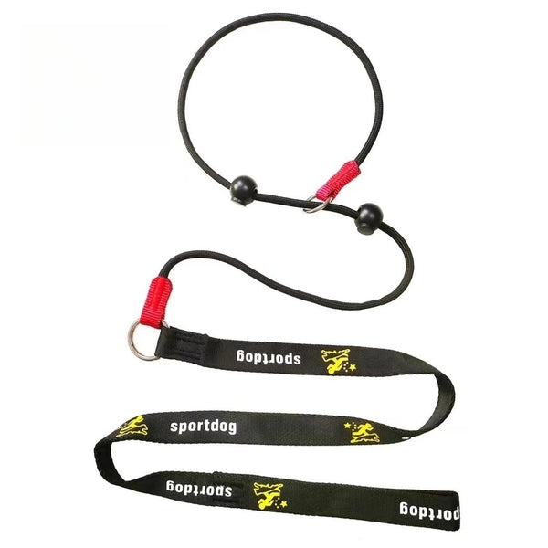 2-in-1 Slip-Lead Dog Leash – Training Collar & Walking Lead with Anti-Tangle Swivel